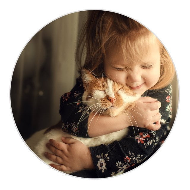o teu filho e o animal