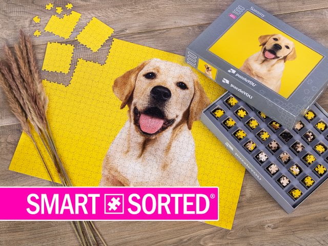 Agora novo e exclusivo na puzzleYOU: SMART SORTED®